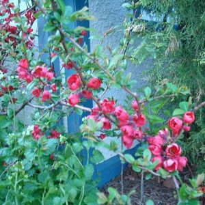 Meet your Posher, Helen